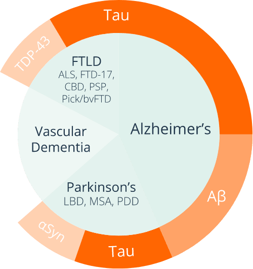 Tauopathies Alzheimers chart